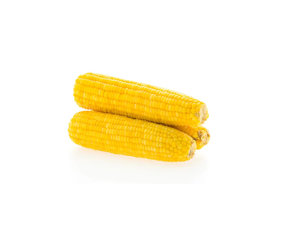 Jagung