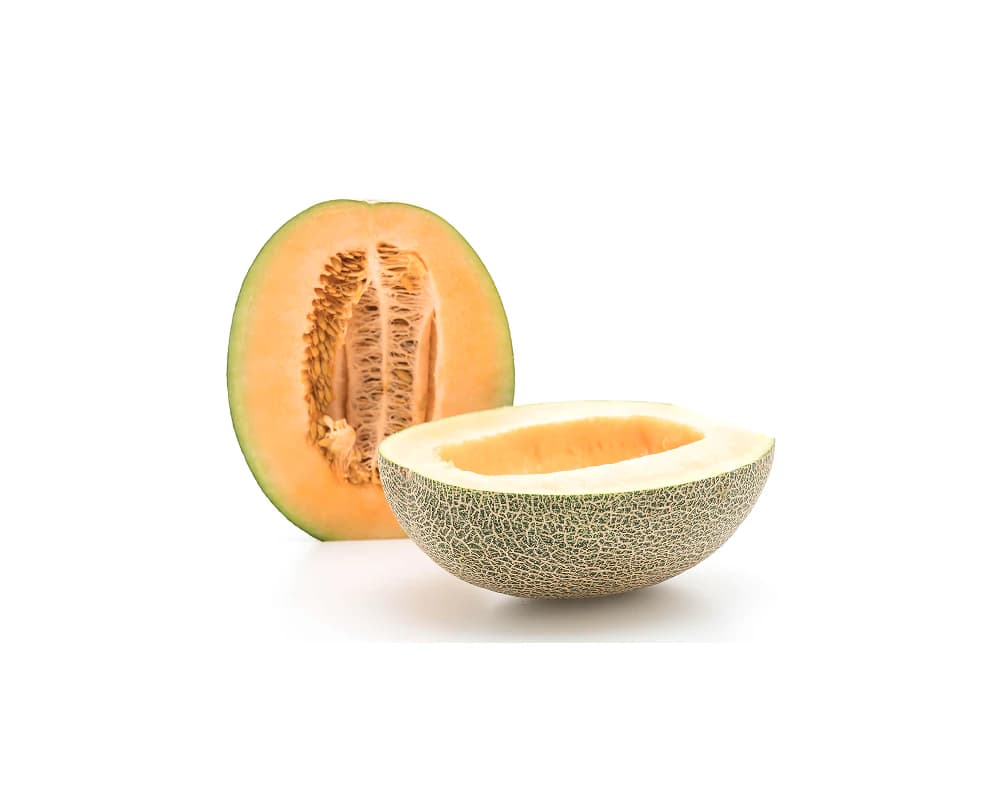 Melon