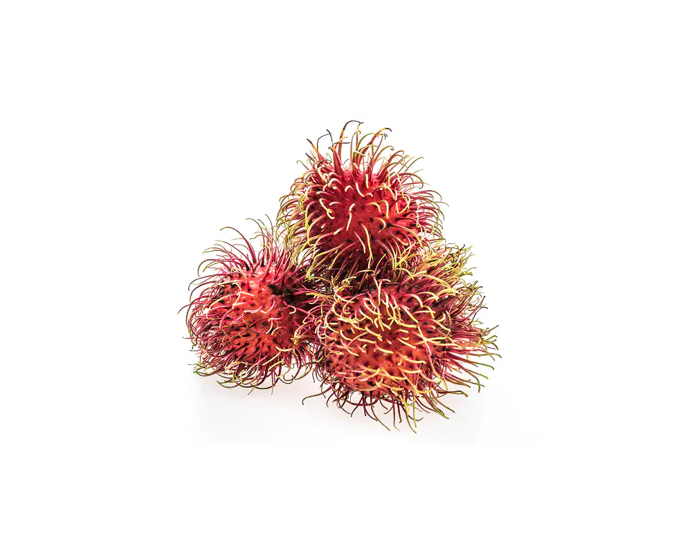 Rambutan Binjai